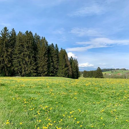 Lindners Hideaways - Bergnest Lodge - Bergblick Fewo 6 Pers Balkon Garten Hund Ski Unterkunft Luftkurort Oberreute Naehe Buchenegger Wasserfaelle Eistobel Bodensee Екстер'єр фото