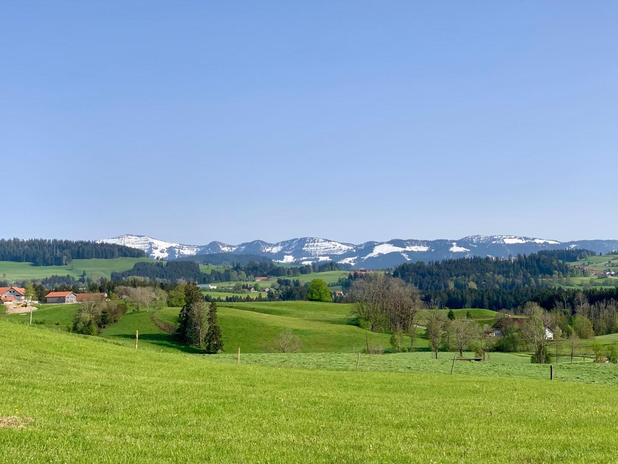 Lindners Hideaways - Bergnest Lodge - Bergblick Fewo 6 Pers Balkon Garten Hund Ski Unterkunft Luftkurort Oberreute Naehe Buchenegger Wasserfaelle Eistobel Bodensee Екстер'єр фото