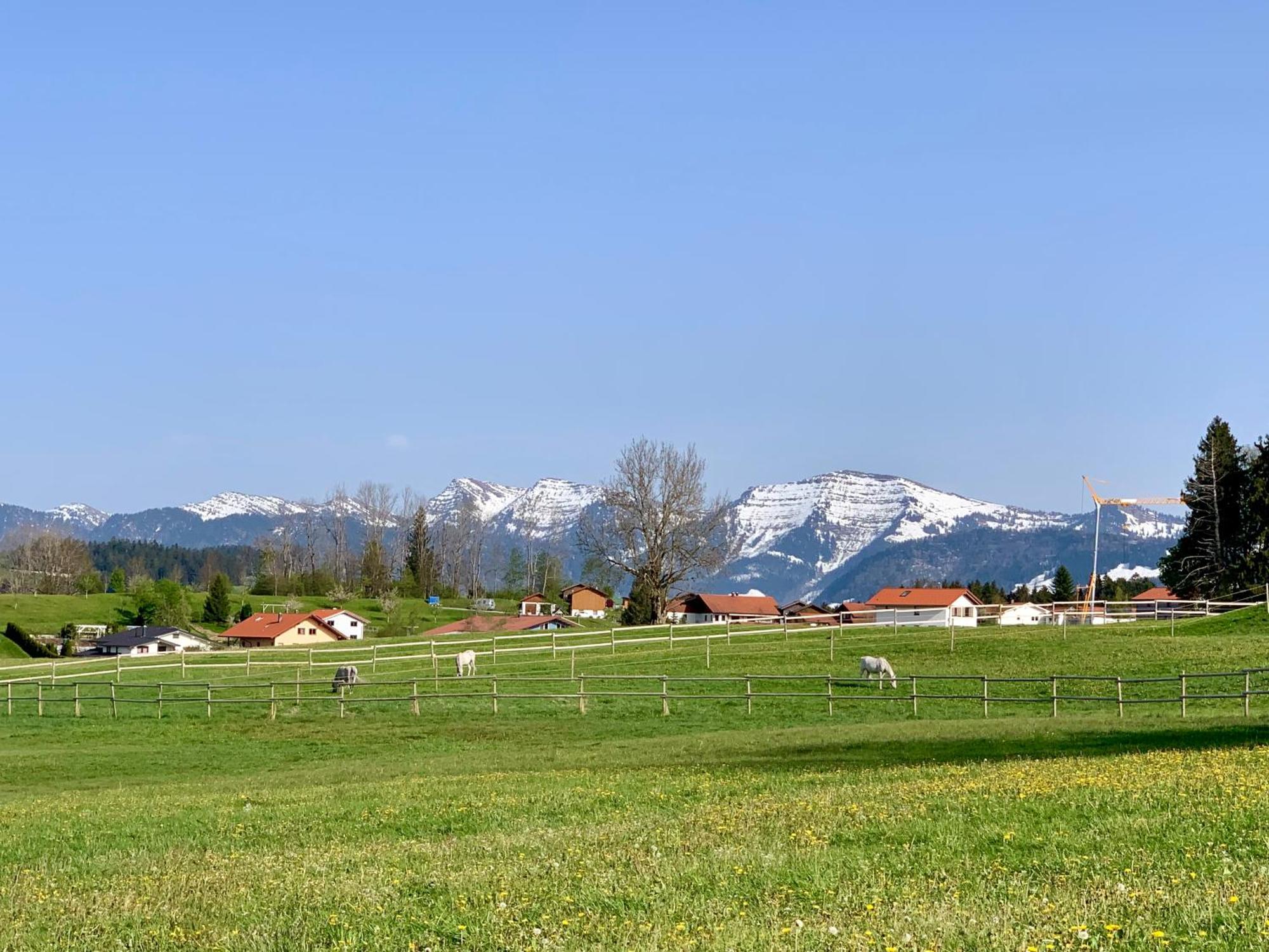 Lindners Hideaways - Bergnest Lodge - Bergblick Fewo 6 Pers Balkon Garten Hund Ski Unterkunft Luftkurort Oberreute Naehe Buchenegger Wasserfaelle Eistobel Bodensee Екстер'єр фото