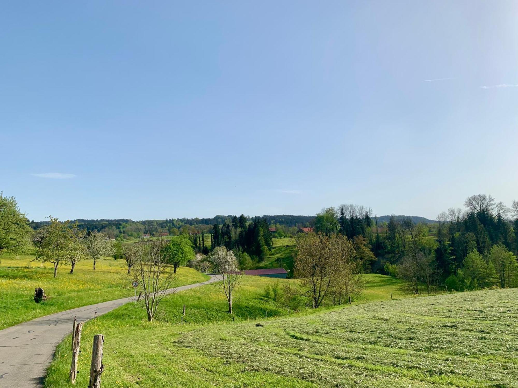 Lindners Hideaways - Bergnest Lodge - Bergblick Fewo 6 Pers Balkon Garten Hund Ski Unterkunft Luftkurort Oberreute Naehe Buchenegger Wasserfaelle Eistobel Bodensee Екстер'єр фото