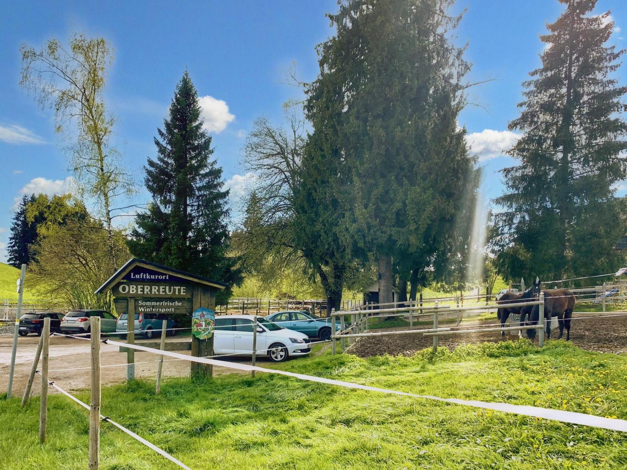Lindners Hideaways - Bergnest Lodge - Bergblick Fewo 6 Pers Balkon Garten Hund Ski Unterkunft Luftkurort Oberreute Naehe Buchenegger Wasserfaelle Eistobel Bodensee Екстер'єр фото
