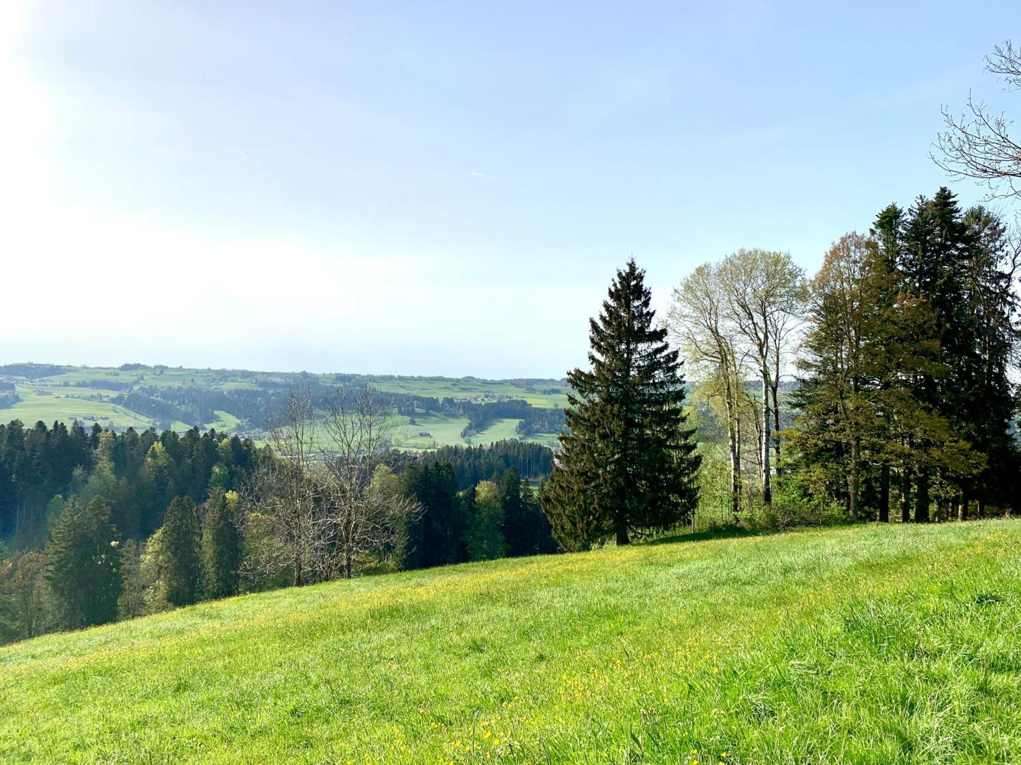 Lindners Hideaways - Bergnest Lodge - Bergblick Fewo 6 Pers Balkon Garten Hund Ski Unterkunft Luftkurort Oberreute Naehe Buchenegger Wasserfaelle Eistobel Bodensee Екстер'єр фото